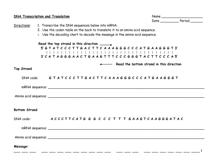 Dna translation and transcription worksheet