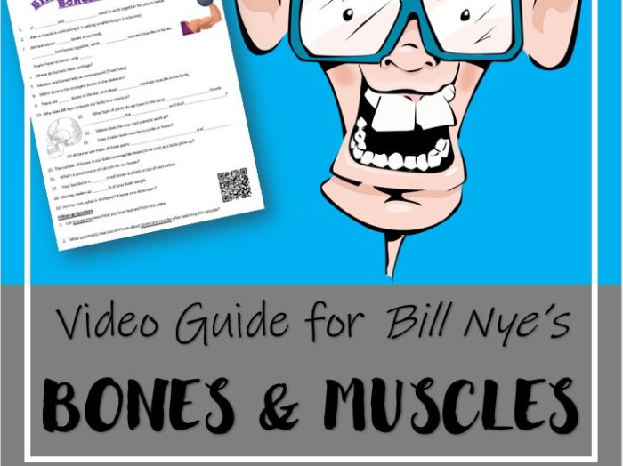 Bill nye bones and muscles answer key