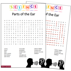 Part of the ear crossword