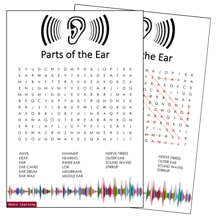 Part of the ear crossword