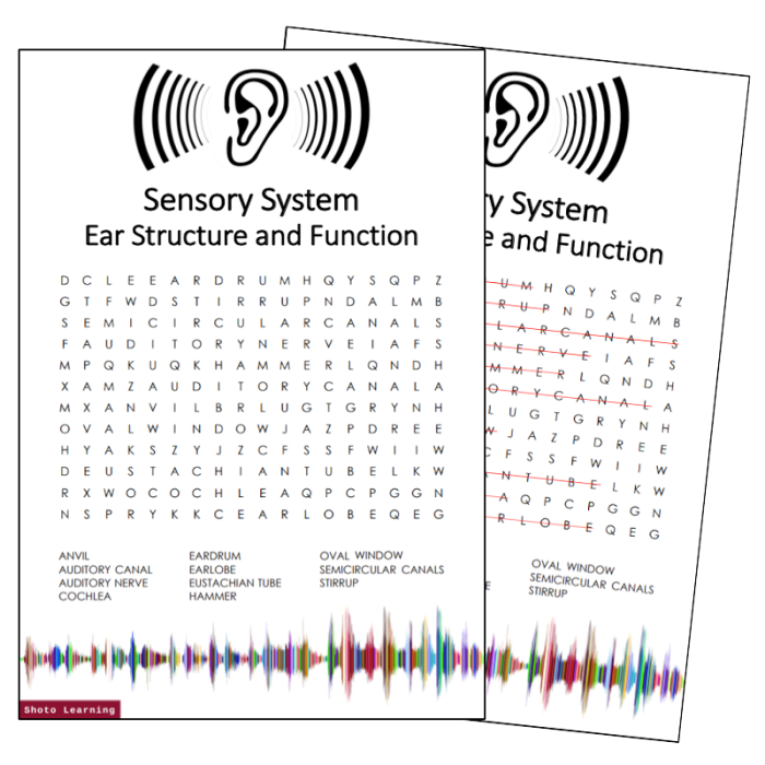 Part of the ear crossword