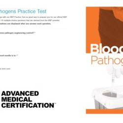 Blood borne pathogens quiz answers