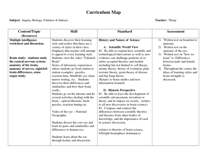 Cell analogy city worksheet answers worksheeto via