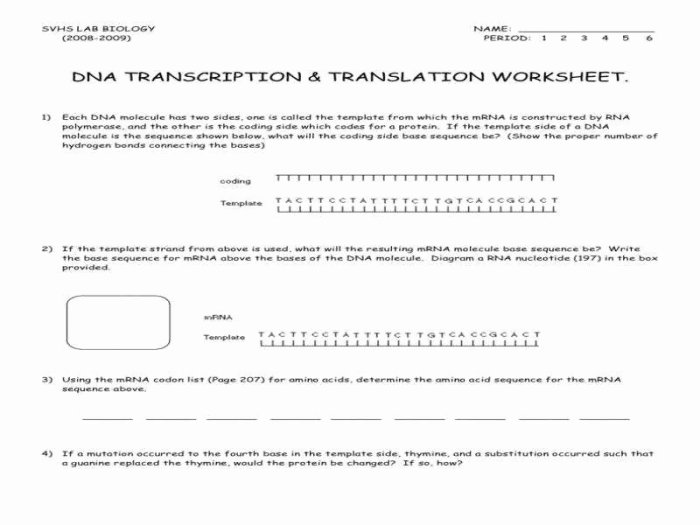 Dna translation and transcription worksheet