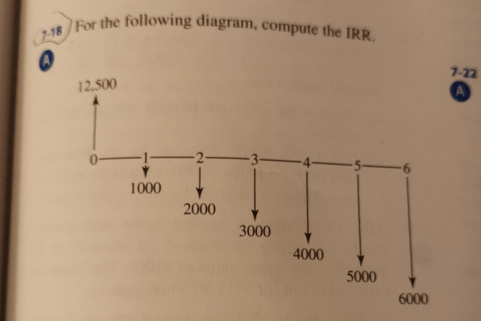 For the following diagram compute the irr