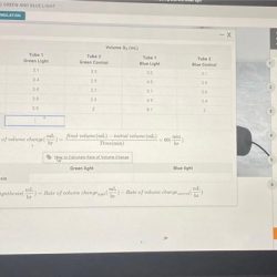 Photosynthesis light comparing calculate transcription biology