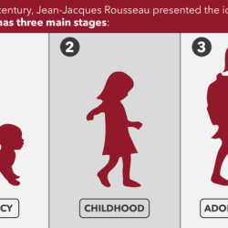 Understanding the whole child: prenatal development through adolescence