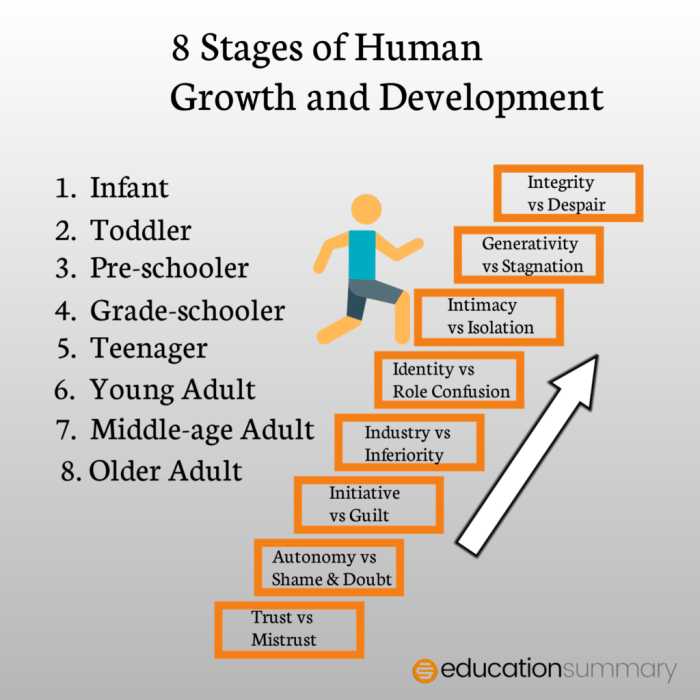 Understanding the whole child: prenatal development through adolescence