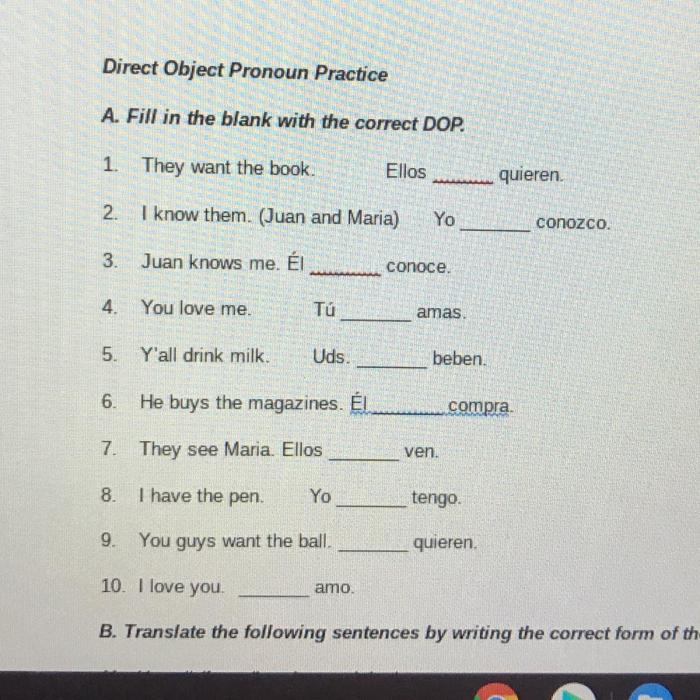 Fill in the blanks with the correct direct object pronouns.