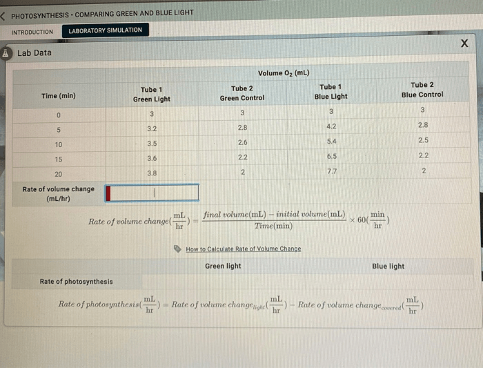 Photosynthesis comparing green and blue light lab answers